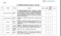 廣西新增醫(yī)療服務(wù)項(xiàng)目?jī)r(jià)格表（第五批）