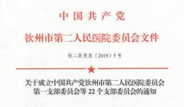 關于成立中國共產(chǎn)黨第二人民醫(yī)院委員會第一黨支部等22個支部委員會的通知
